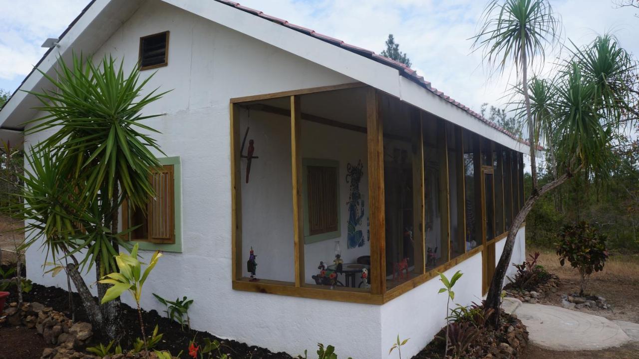 Pine Ridge Lodge San Ignacio Zewnętrze zdjęcie