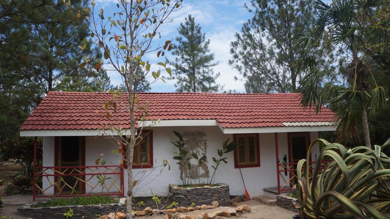 Pine Ridge Lodge San Ignacio Zewnętrze zdjęcie