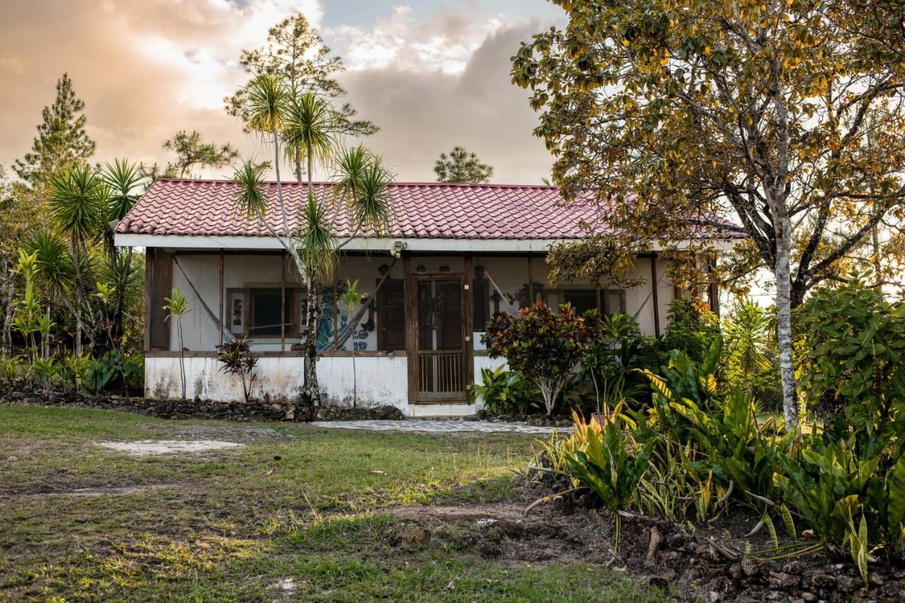 Pine Ridge Lodge San Ignacio Zewnętrze zdjęcie